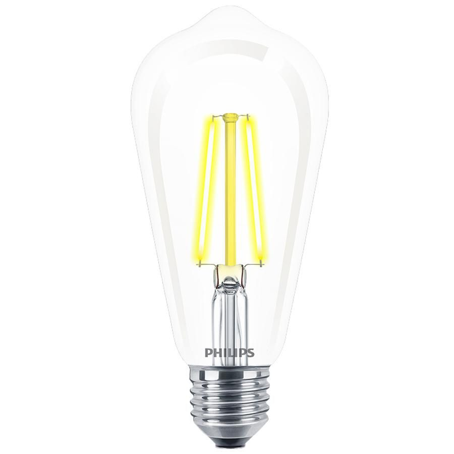 Bulbs