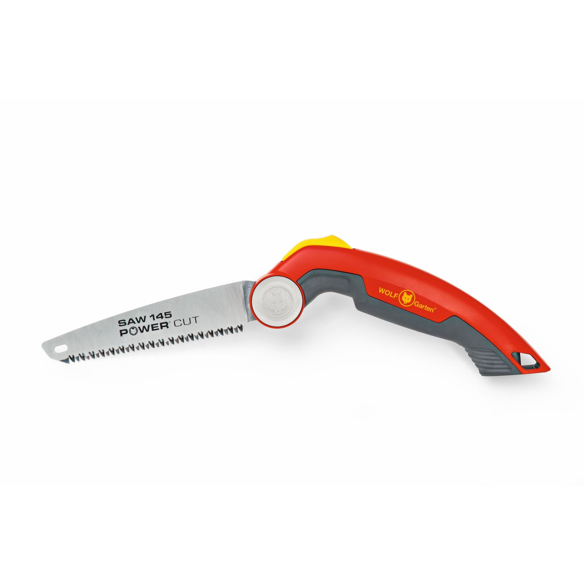 Pruning Saw