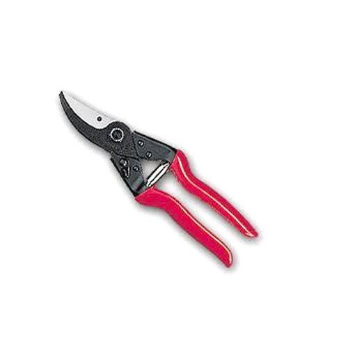 Pruning Shear