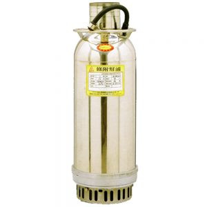 Showfu KT Type Submersible Contractor Pump KT-1032H