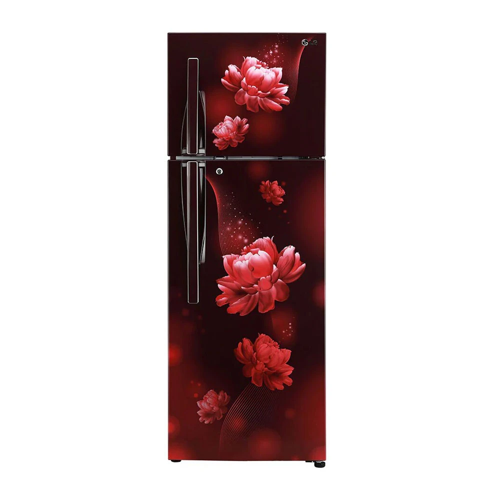 LG 310 Ltrs Refrigerator GLB322RVBN