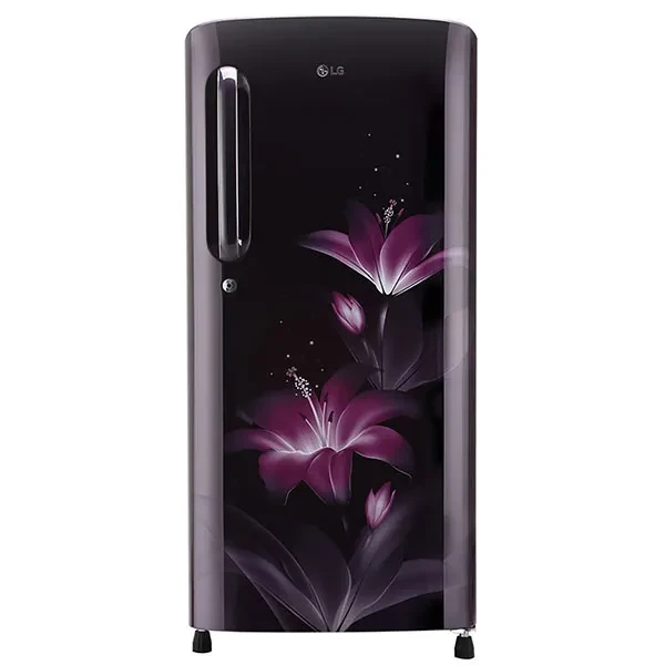 LG 190 LtrRefrigerator GLB205APGB.APGQ