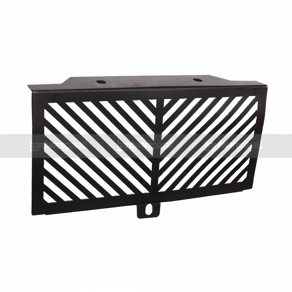 Radiator Guard for X-Pulse