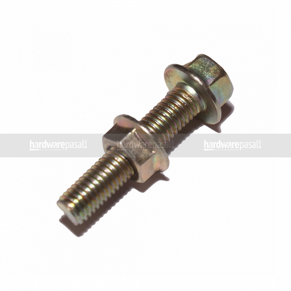 6mm Flange Nut Bolt (Golden)- 1kg
