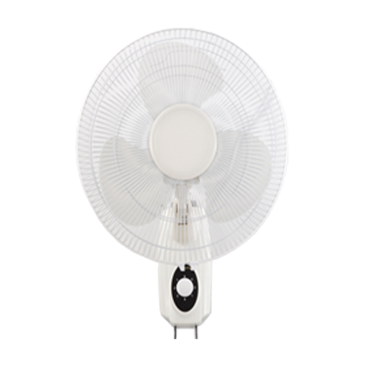 Himstar 16" Wall Fan FS-40-D202R