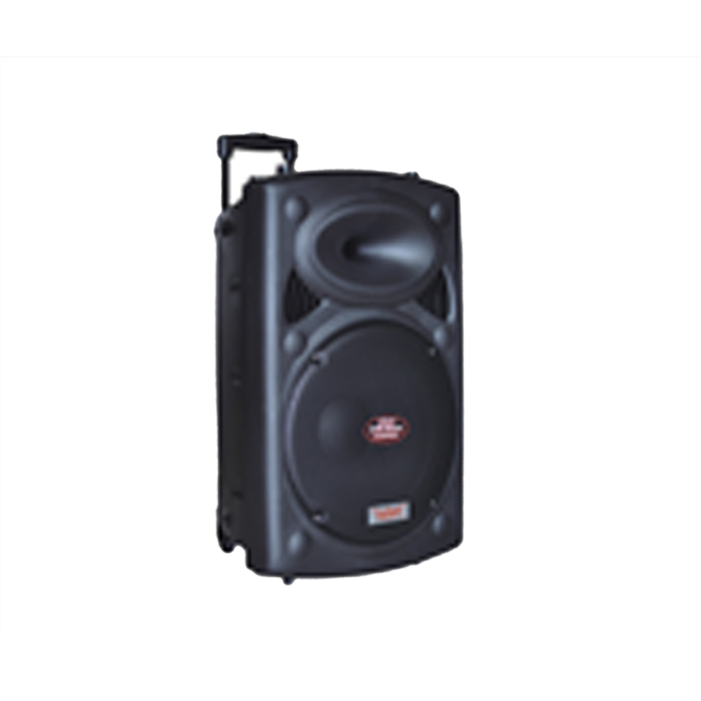 CG 15 Inch Trolley Speaker CGTS15C01