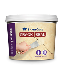 0.9g Smartcare Crack Seal