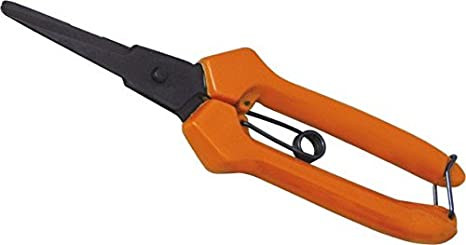 FALCON ROSE CUTTER FBT-60 RUCHI