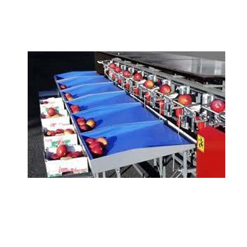 Agrosaw Apple Grading Machine