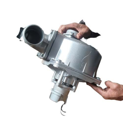 Texas Alligator Water Pump