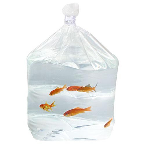 Fish Bag