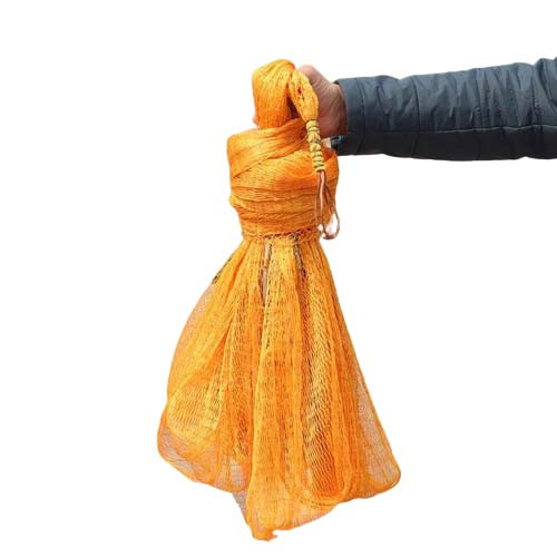 Yellow Castnet Chinese