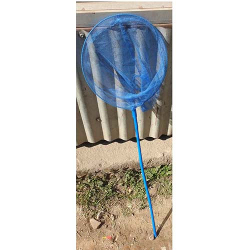 Normal Handle Insects Collecting Net