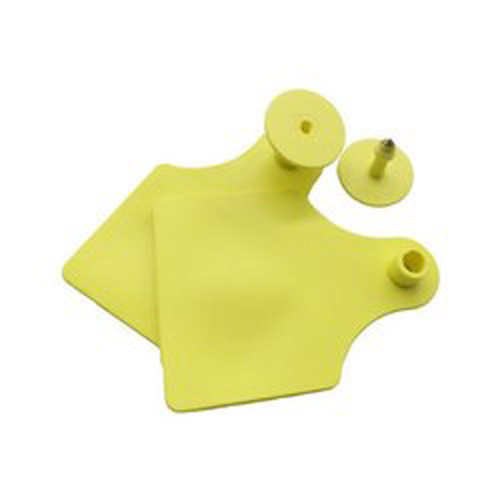 Tag Dallo Medium Without Number