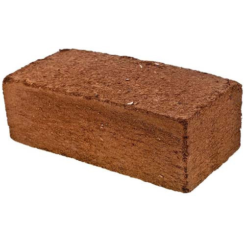 2 Kg Coco Peat Brick