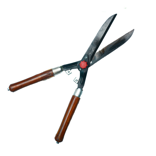 10" Chromium Medium Hedge Scissor Delite