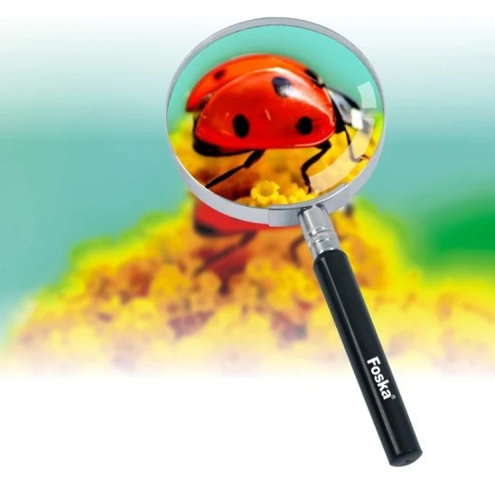 Foska Magnifying Glass G03-03
