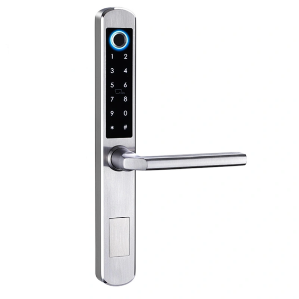 Deli Aluminium Door Lock Sapphire A210
