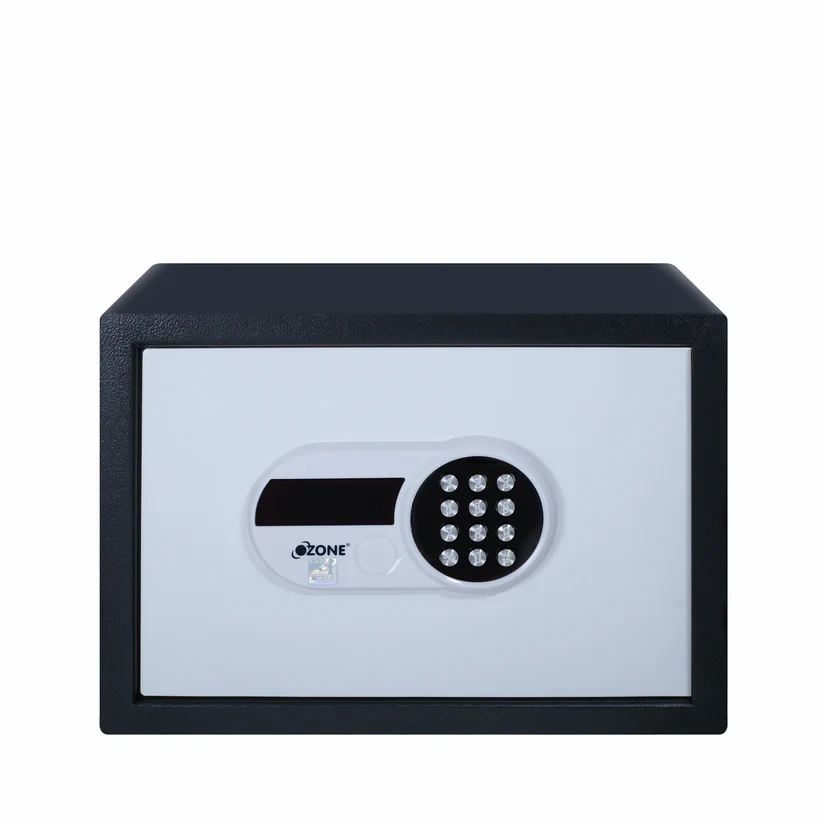 Ozone Hotel Safe Deposit Box ARIES