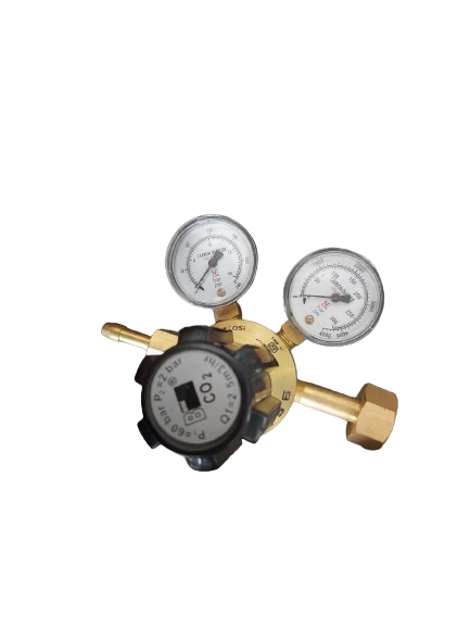 BSE CO2 Regulator