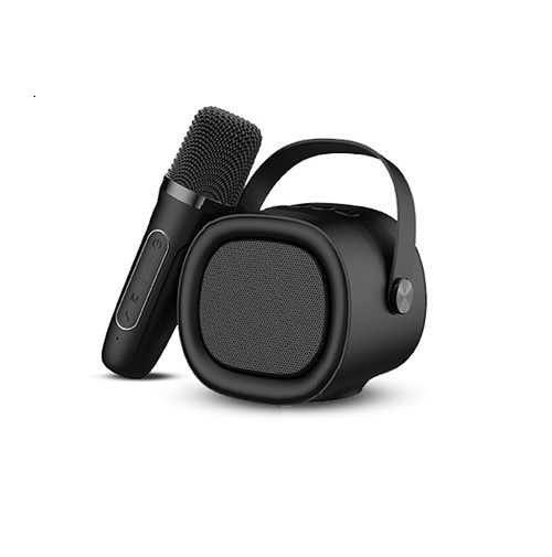 Havit OutDoor Portable Speakers With Microphone SK819BT