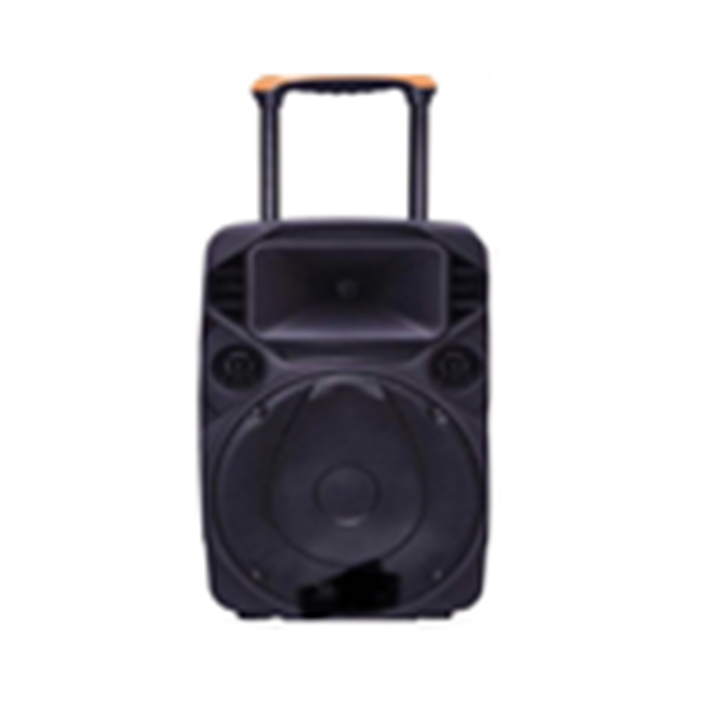 CG 8 Inch Trolley Speaker CGTS08F01