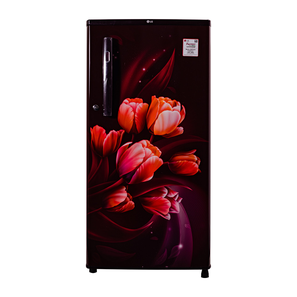 LG 190 Liter Single Door Refrigerator GLB204OSTC.ASTQ