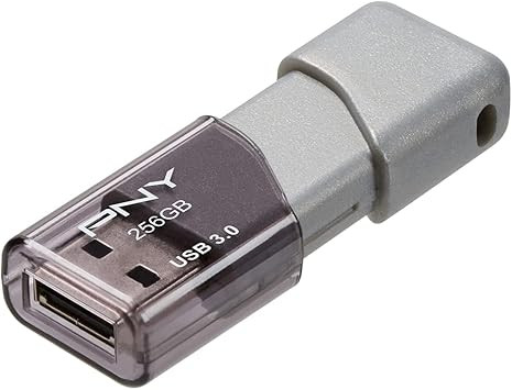 Pendrive PNY 256gb TURBO
