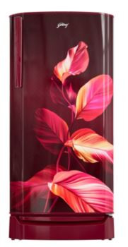 Godrej 190 Liter Single Door Refrigerator RDERIOPLS 205BXP THF SE WN