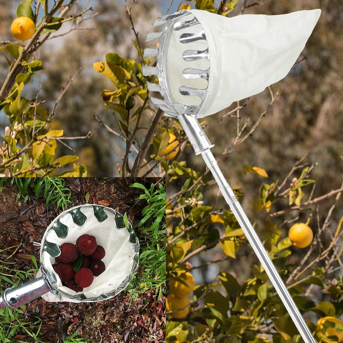 Falcon Mango Harvester with Telescope FMH-2205