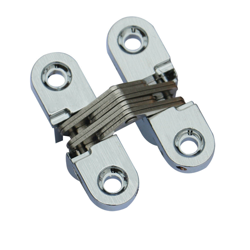 Small Soss Invisible Concealed Hinge