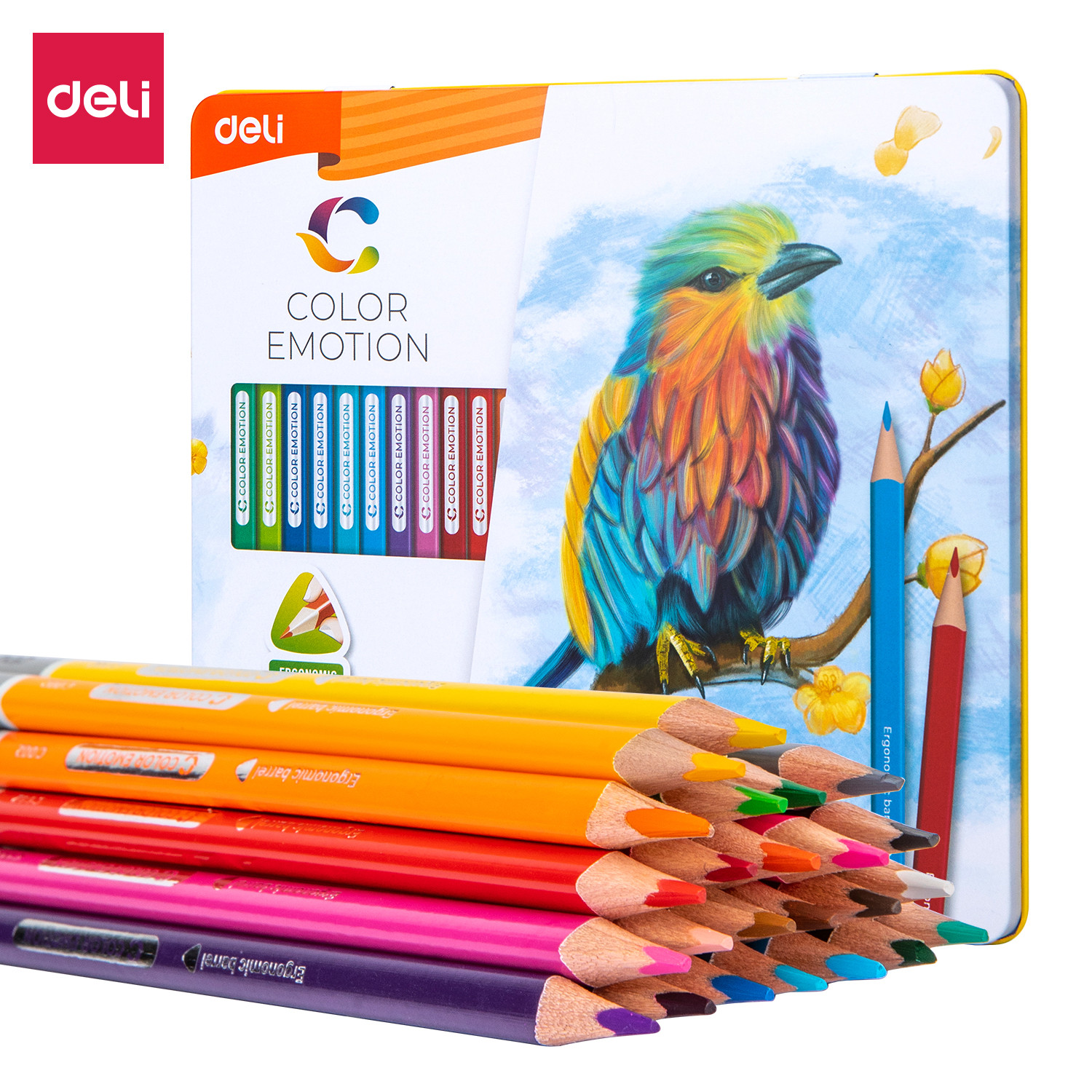 Deli EC00225 Color Pencil (24 Colors)