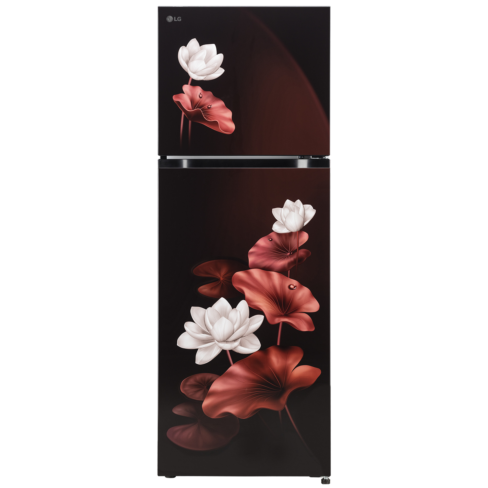 LG 265 Liter Double Door Refrigerator GLM270BSLI.ASLQ