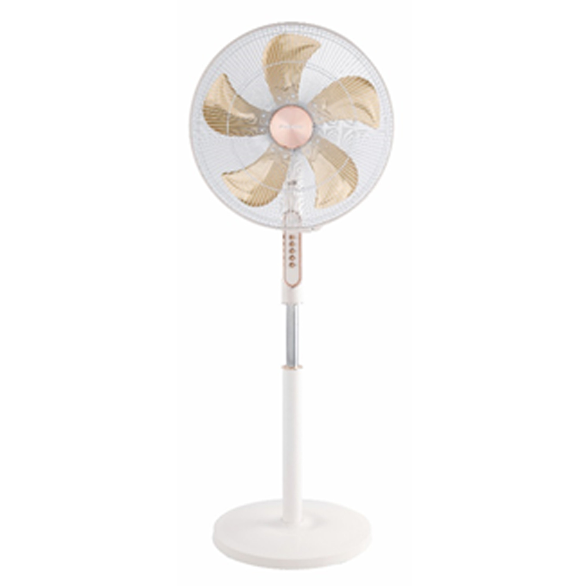 CG 18 Inch Stand Fan CGMRSF18Z05